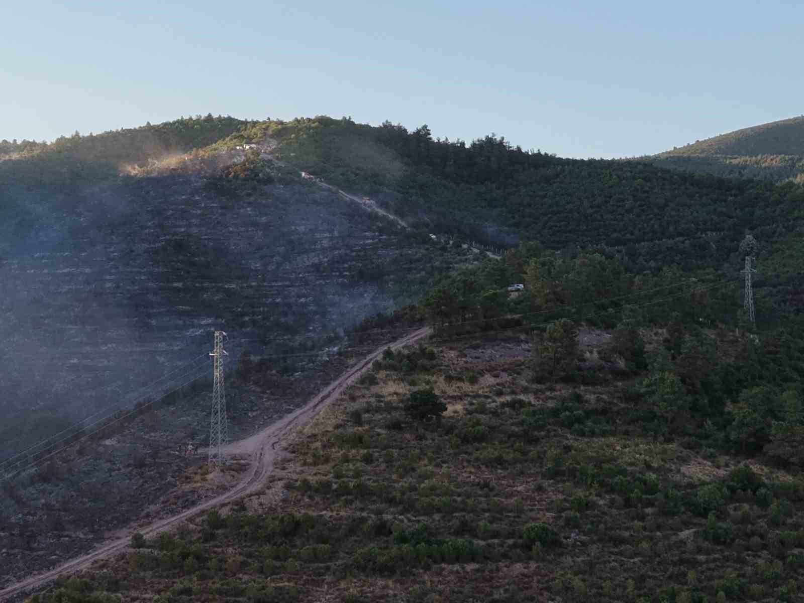 Kocaeli’deki orman yangını söndürüldü 