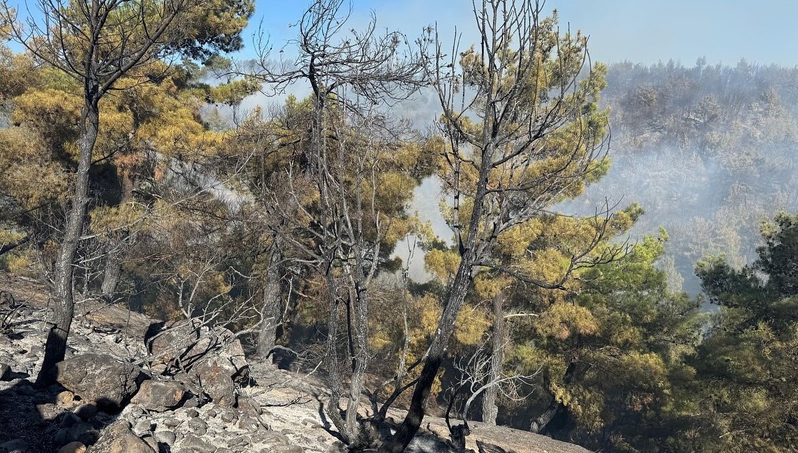 Kütahya’daki orman yangını kısmen kontrol altına alındı 