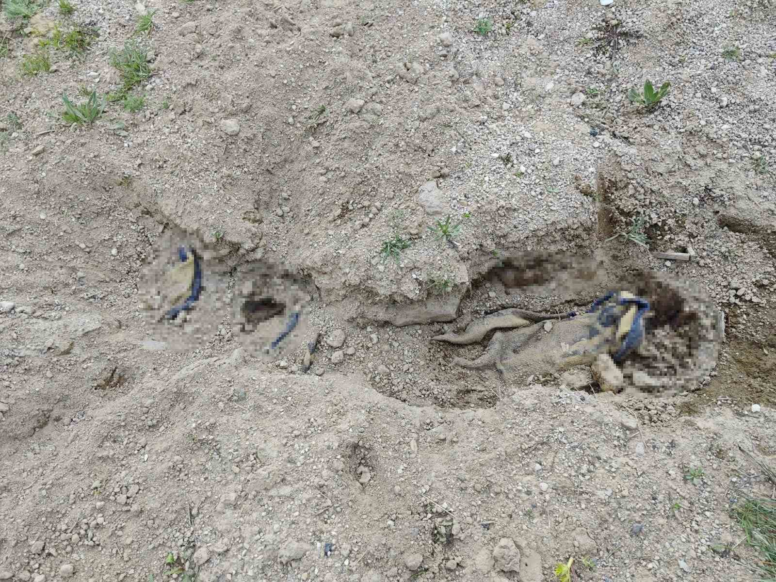 İstanbul’da öldürüp, Nevşehir’e gömmüşler 