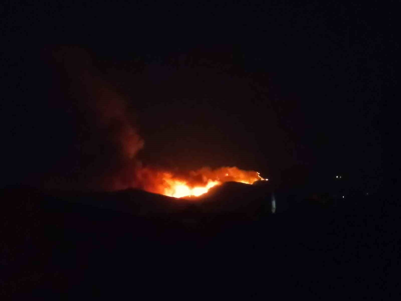 Bir yangın da Ödemiş’te: 3 mahalle tahliye edildi 