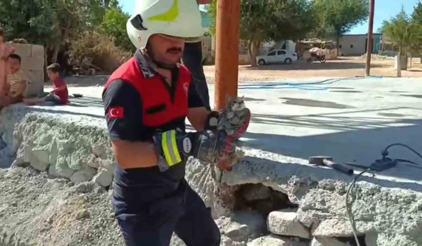 Şanlıurfa’da betonun altında mahsur kalan 2 kedi kurtarıldı 