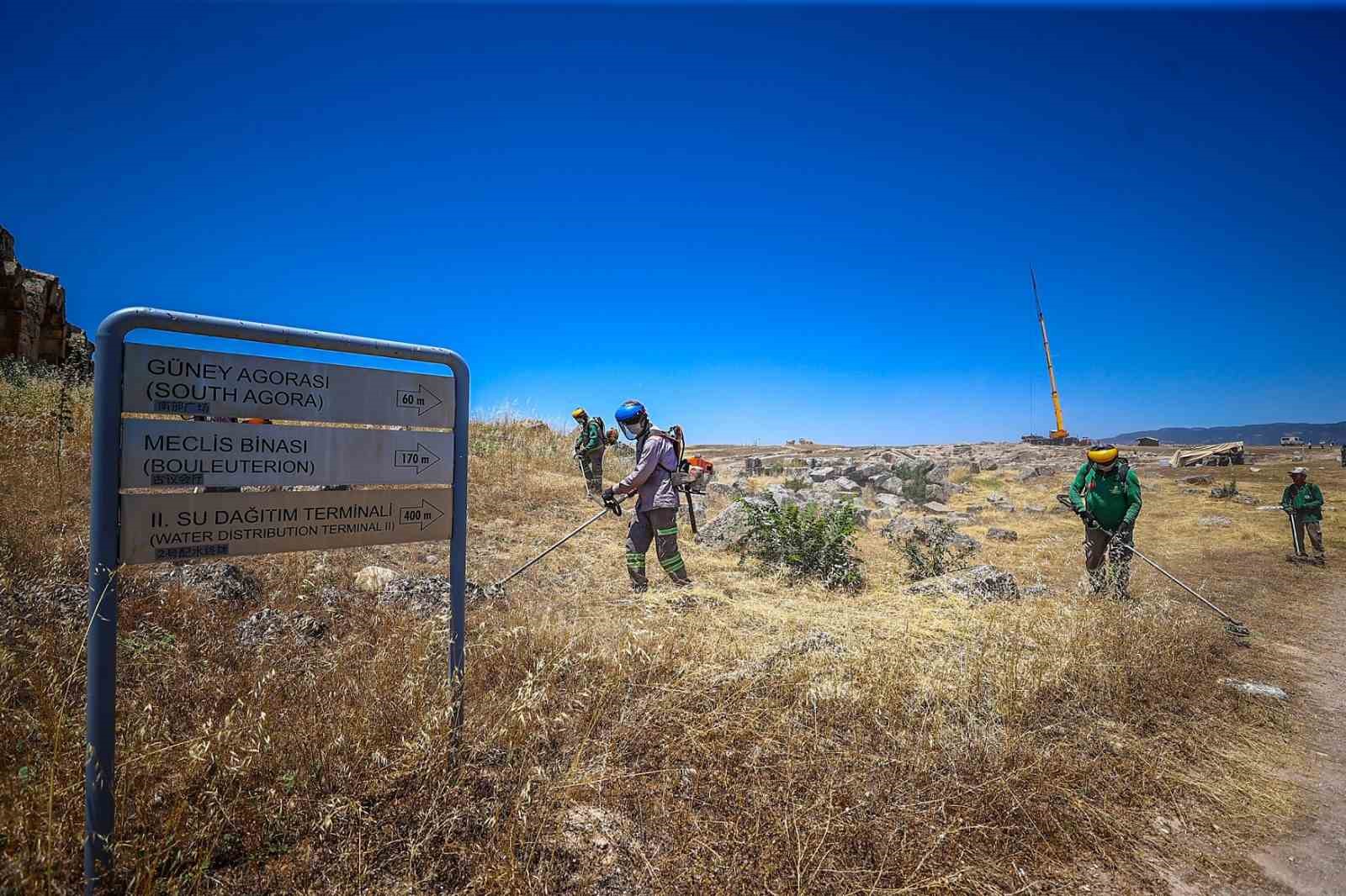 Laodikya yangın riskine karşı otlardan temizledi 