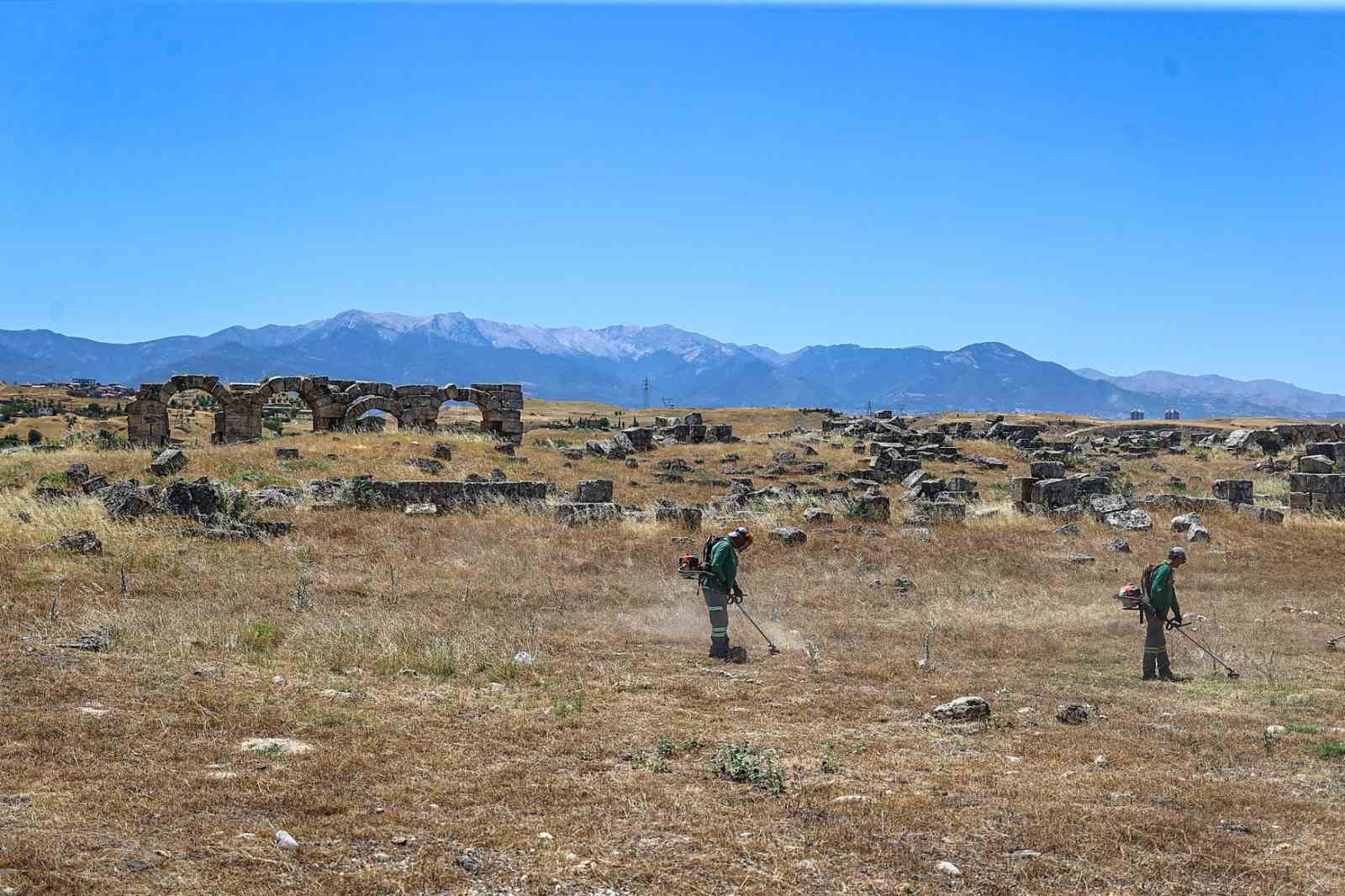 Laodikya yangın riskine karşı otlardan temizledi 