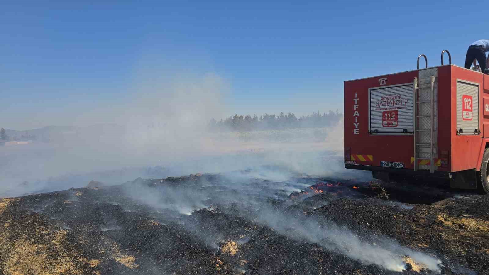 İslahiye’de 150 dönüm arazi kül oldu 