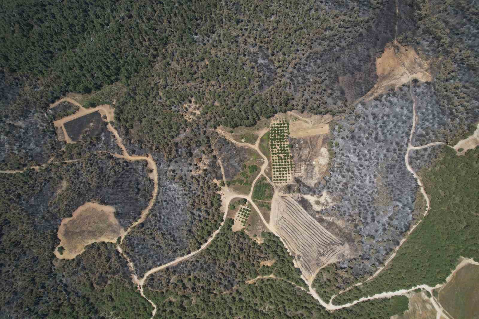 Sakarya’dan, Bilecik’e sıçrayan yangının çıkış sebebi belli oldu 
