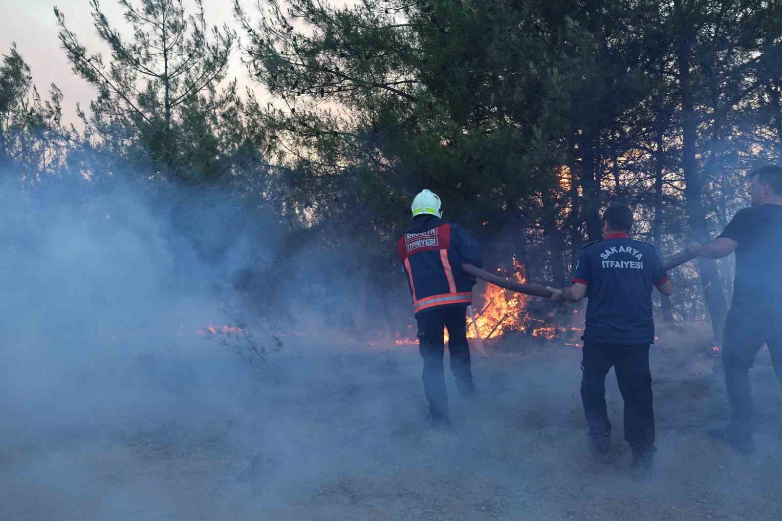 Sakarya’dan, Bilecik’e sıçrayan yangının çıkış sebebi belli oldu 