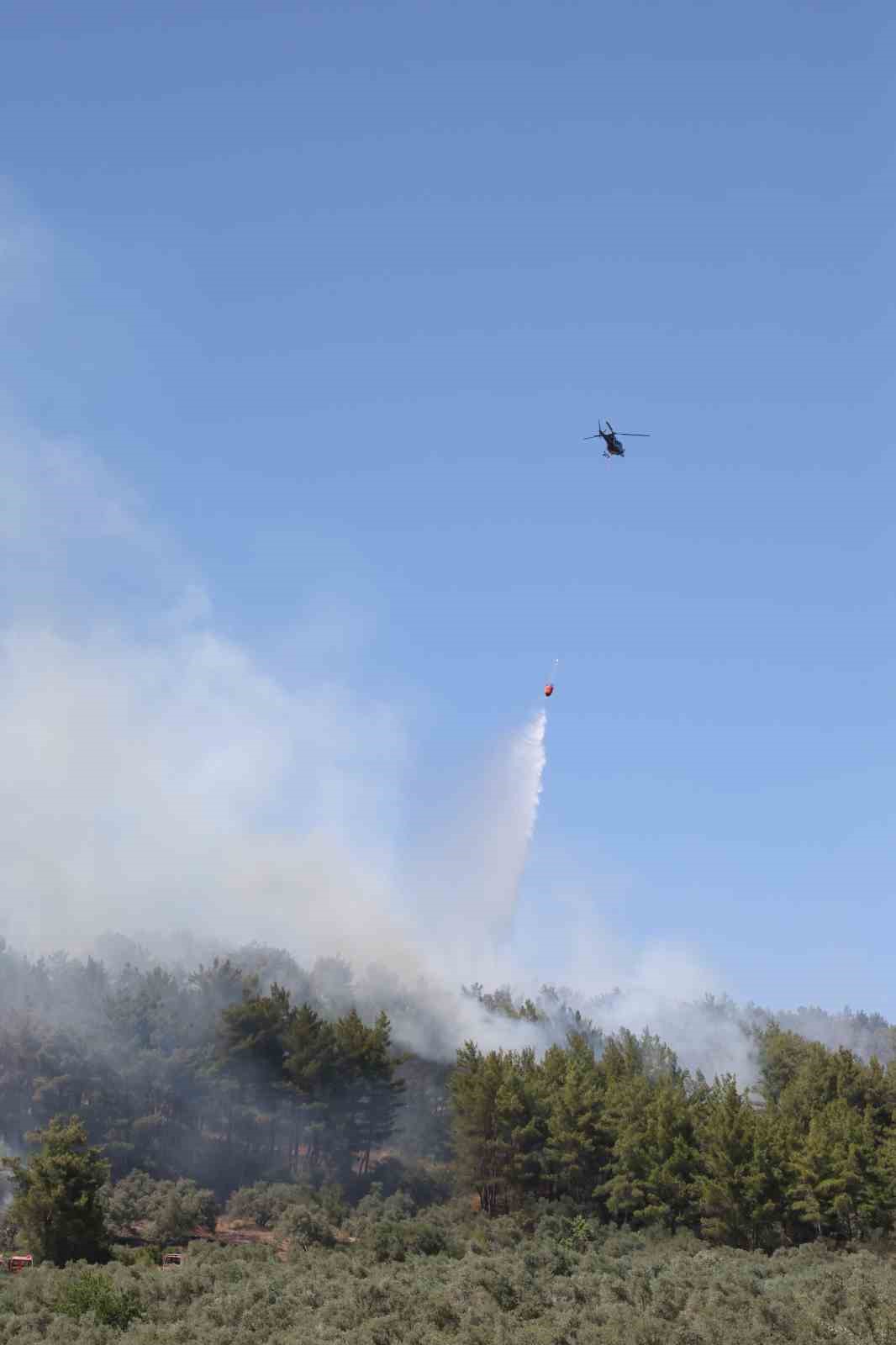 Muğla orman yangını söndürme çalışmaları sürüyor 