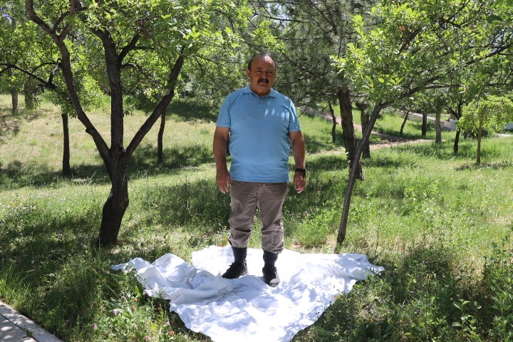 Keneler avını titreşimle buluyor 