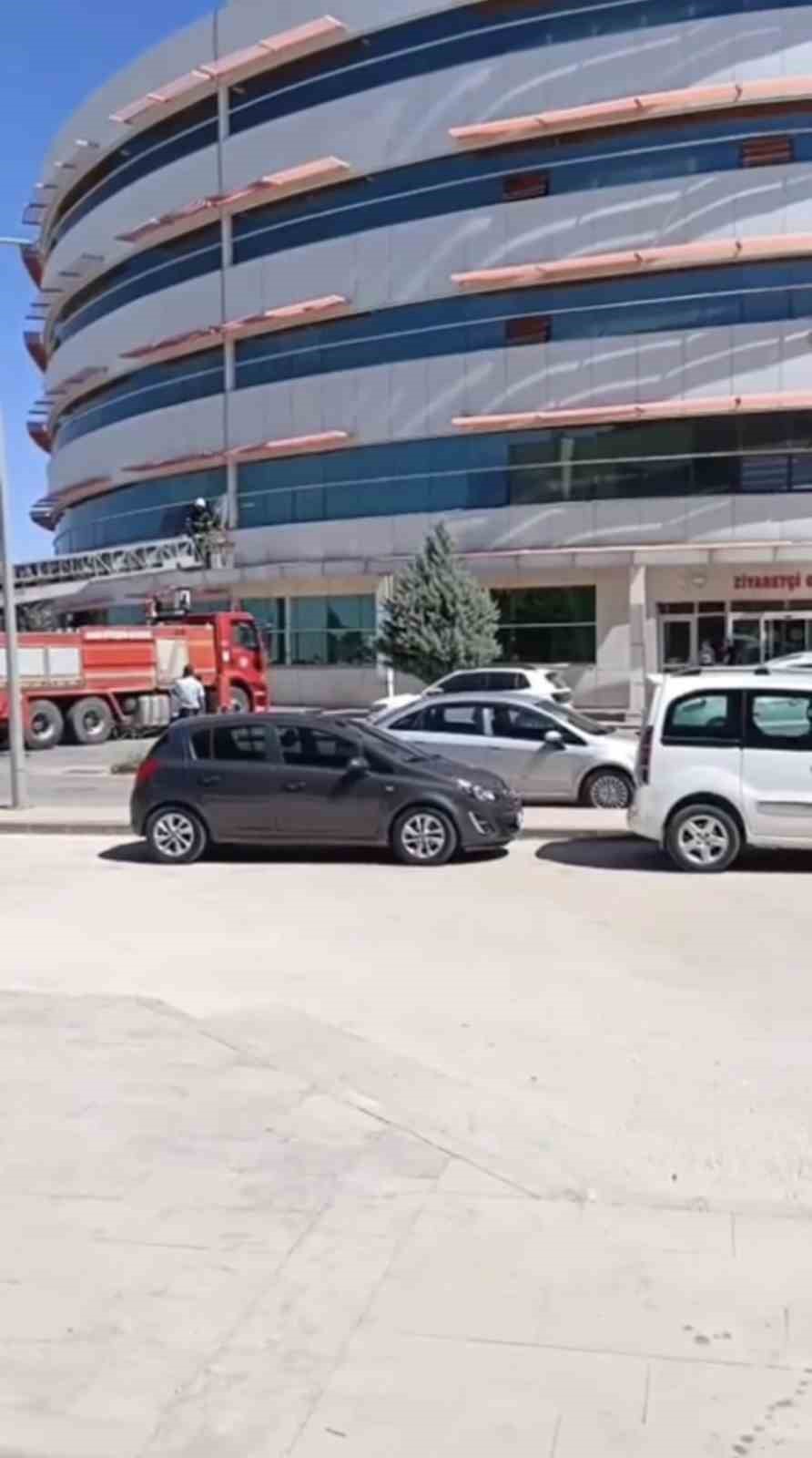 Mardin’de hastanenin dış cephesinde mahsur kalan kedi kurtarıldı 