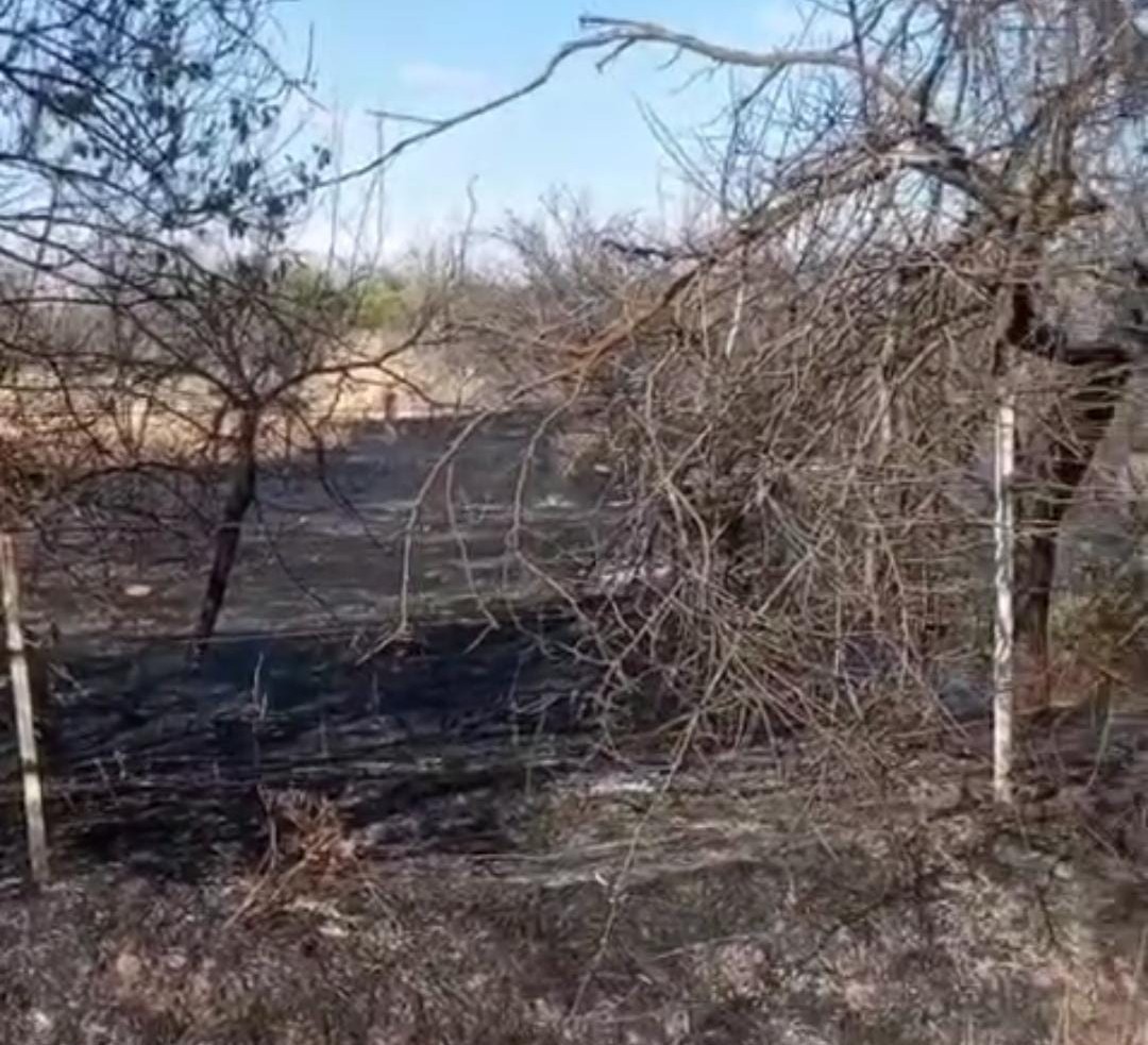 Malatya’da bahçe yangını 