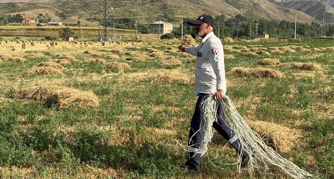 Kızgın güneş altında ekmek mücadelesi 
