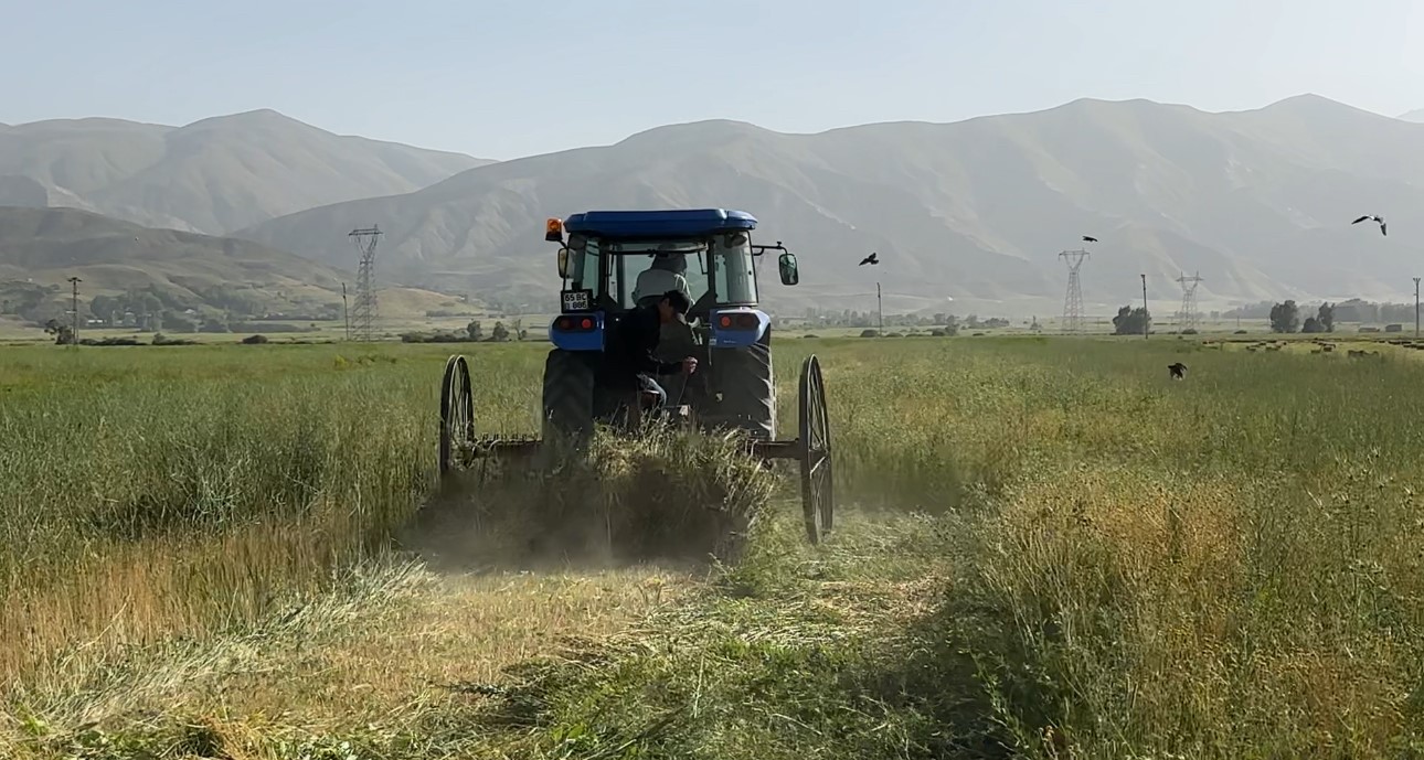 Kızgın güneş altında ekmek mücadelesi 