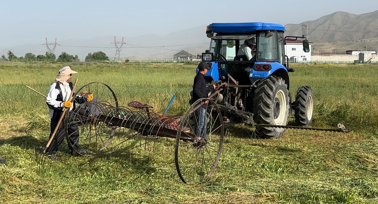 Kızgın güneş altında ekmek mücadelesi 