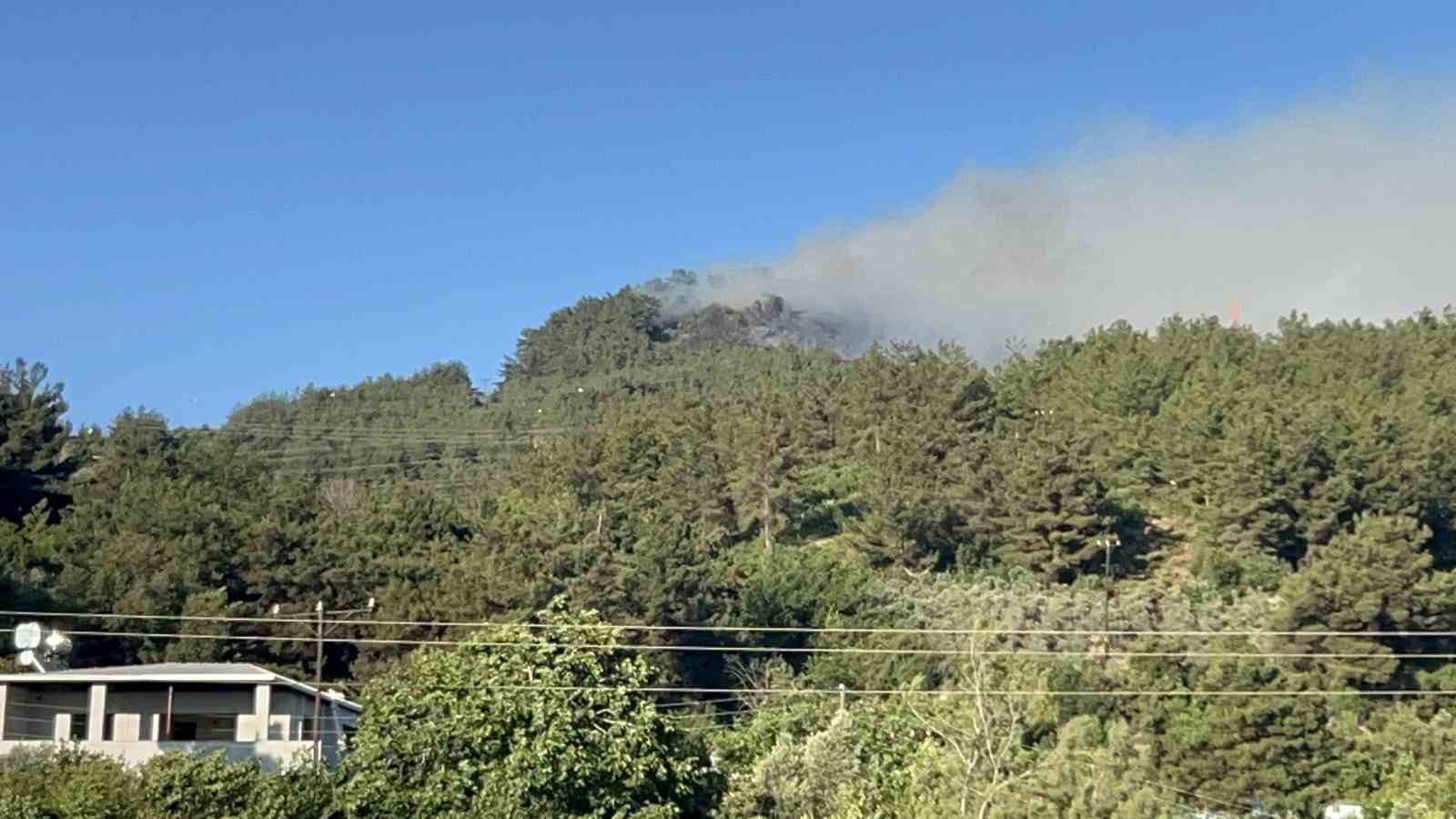 Hatay’da orman yangınına havadan ve karadan müdahale sürüyor 