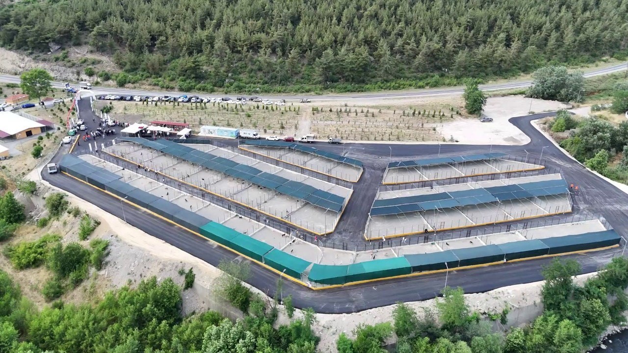 Bu tesiste 3 bin sahipsiz hayvanın barınma, tedavi ve rehabilitasyonu sağlanacak 