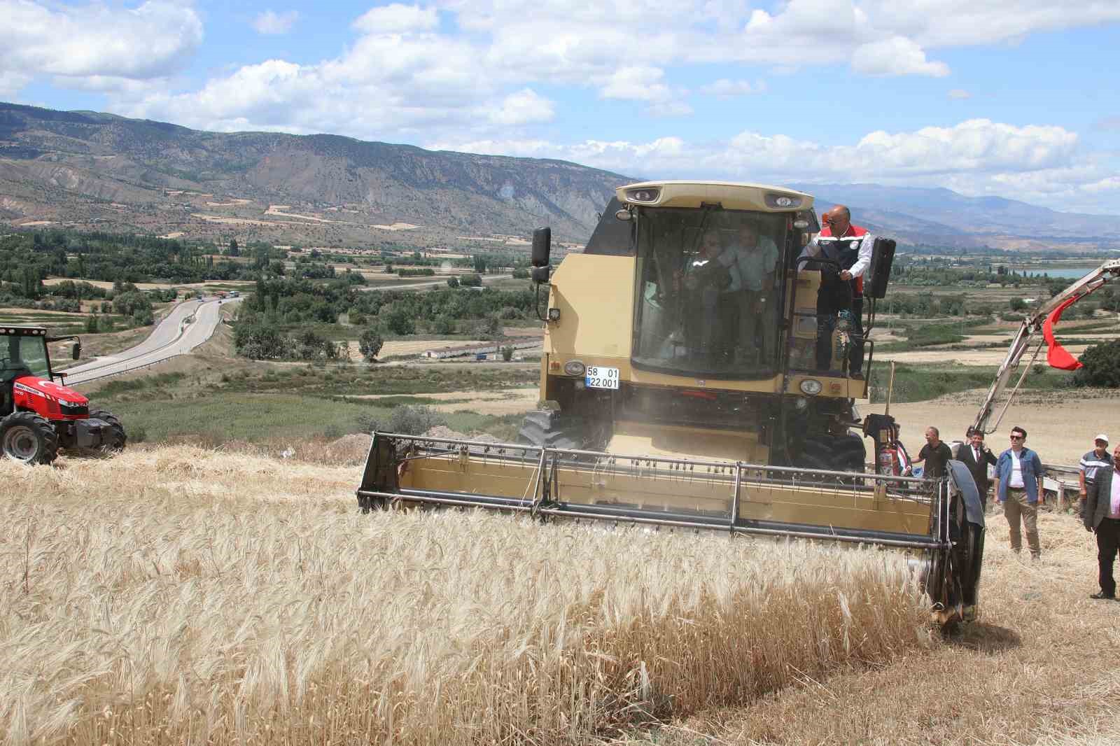 Sivas’ta ilk hububat hasadı Vali Yılmaz Şimşek tarafından gerçekleştirildi 
