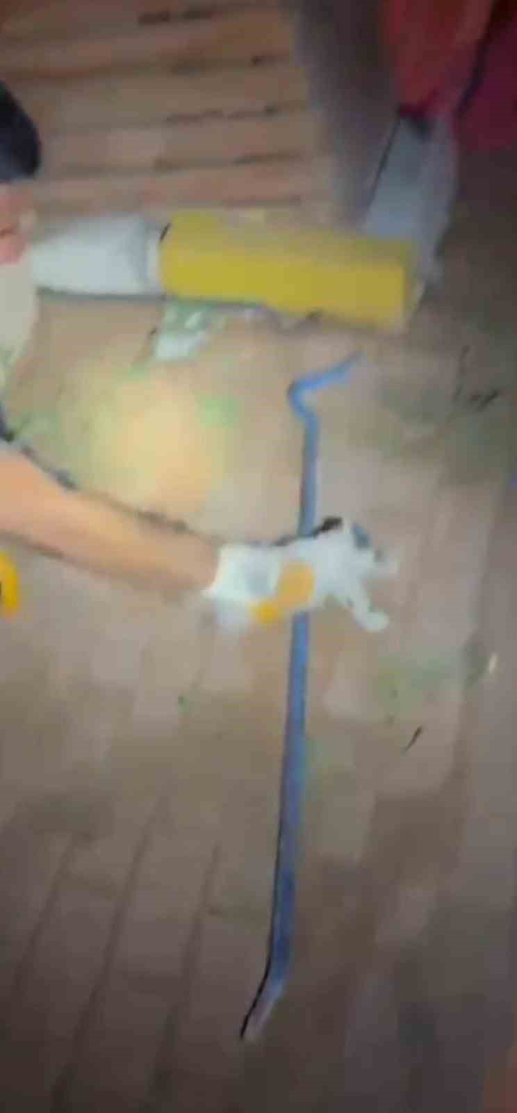 İtfaiyeden gece yarısı kedi kurtarma operasyonu 