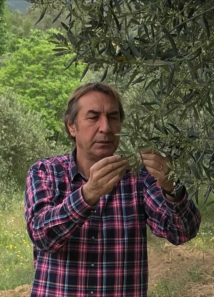 Zeytinyağında bu fiyatları 