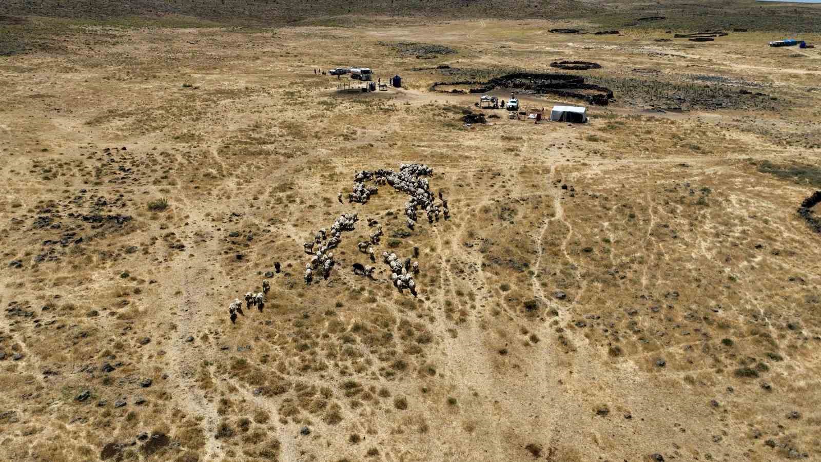 Diyarbakır’da yaylada kalan besicilerin hayvanlarına tankerlerle su taşınıyor 