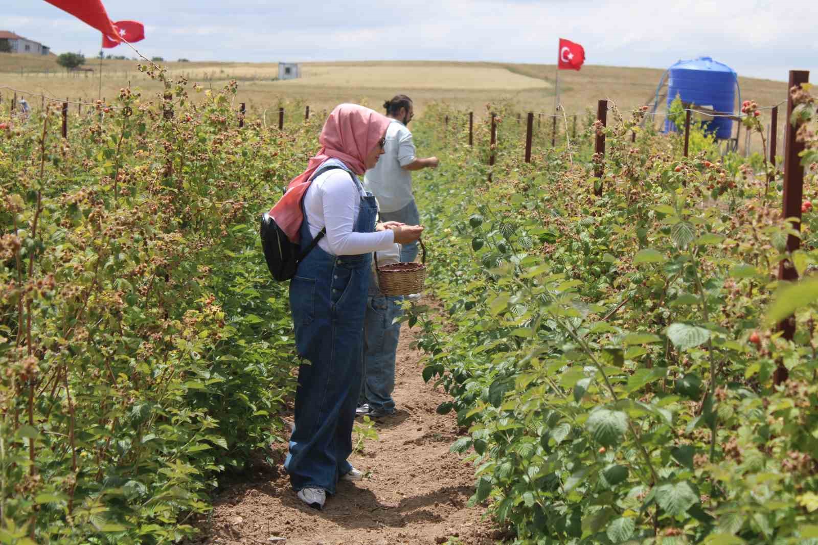 Hobi olarak başladığı işte talebe yetişemiyor 