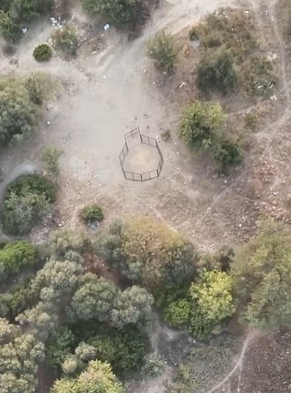 Milli Park’ta yaban domuzlarıyla etkin mücadele devam ediyor 