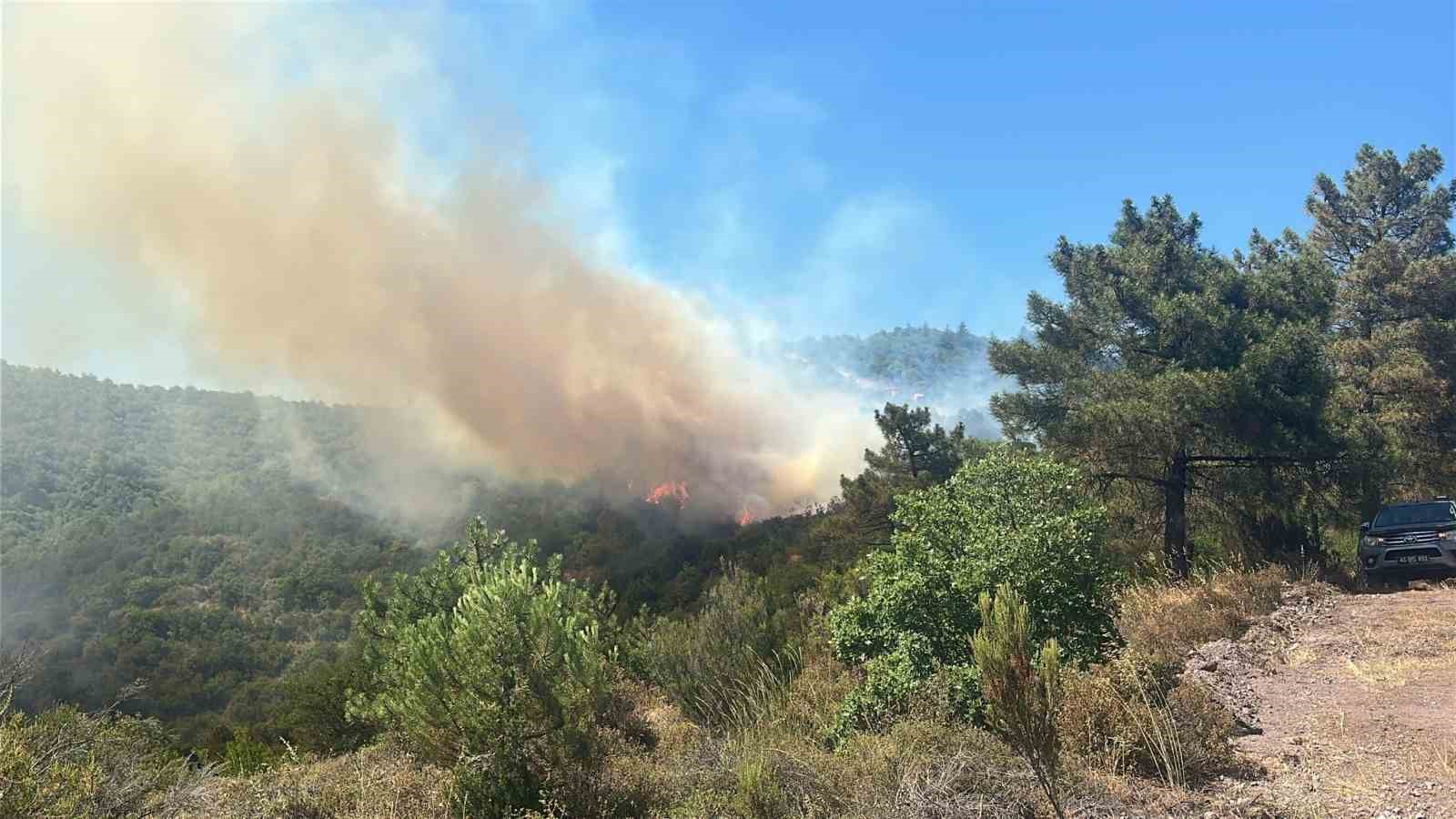 Orman yangınına sebep olan 9 kişi gözaltına alındı, bir kişi tutuklandı 