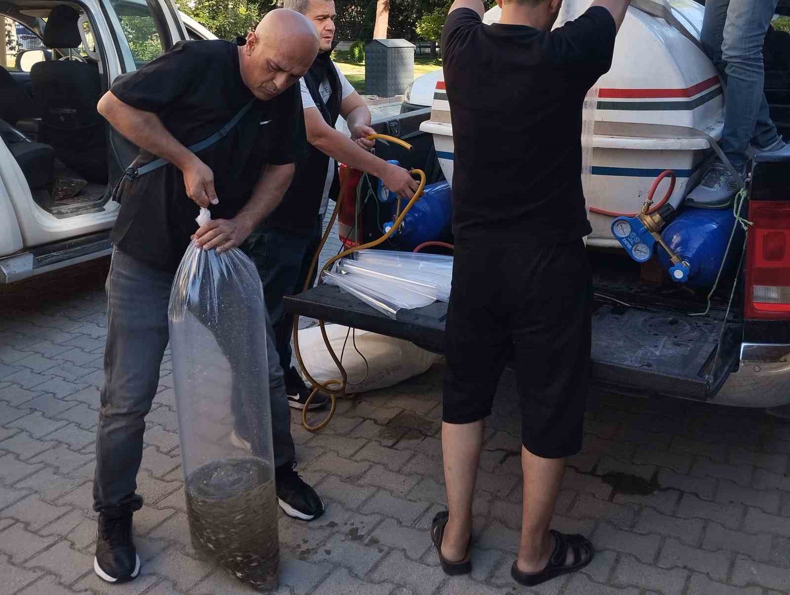 Beyşehir’in göletlerine yavru sazan takviyesi 