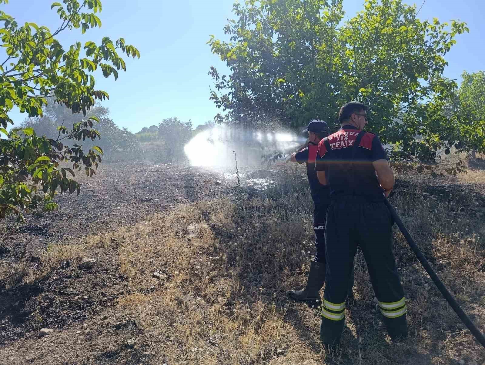Burdur’da ceviz bahçesi ve 5 dönüm tarım arazisi yandı 