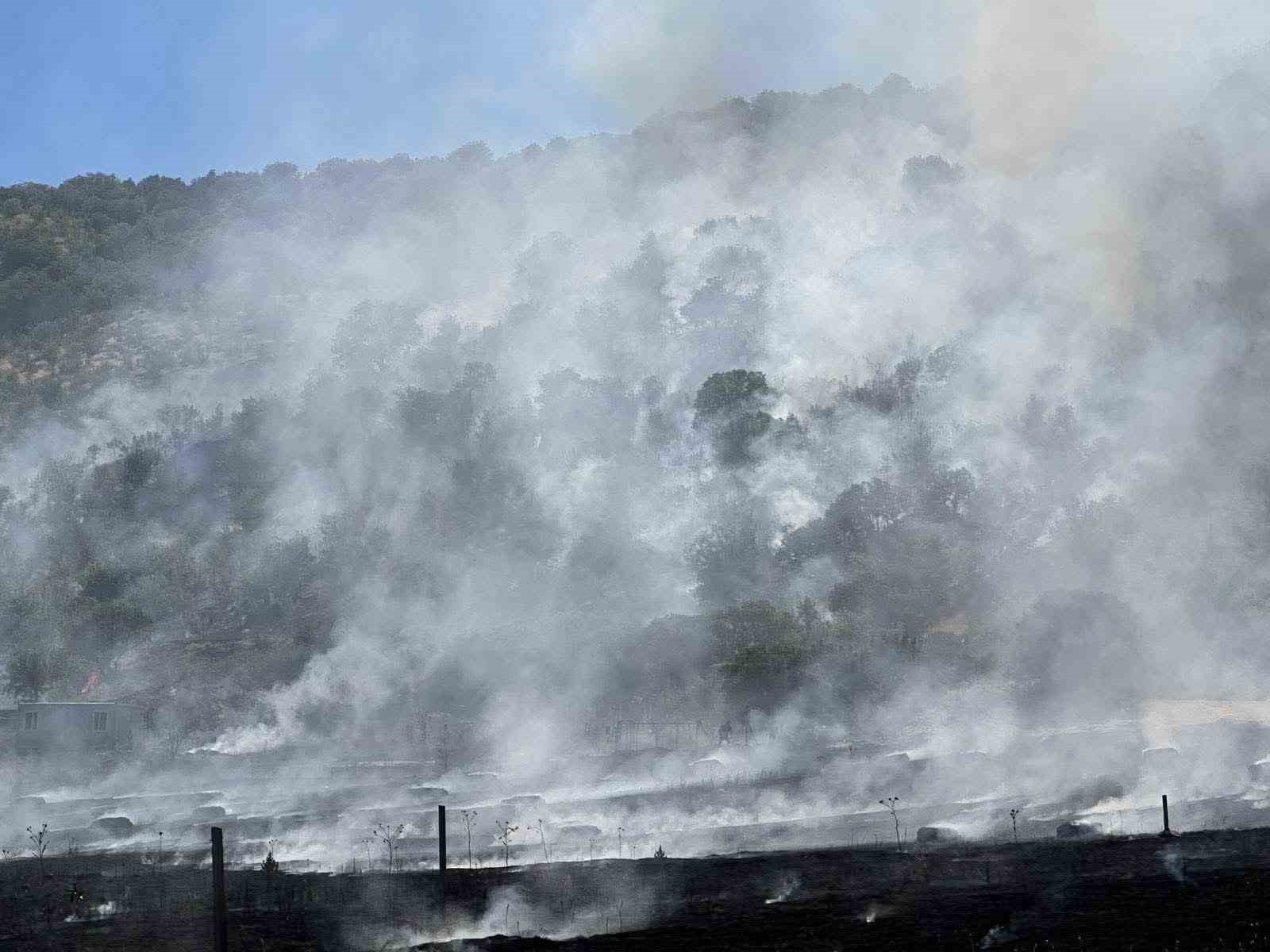 Ankara’da tarla yangını söndürüldü