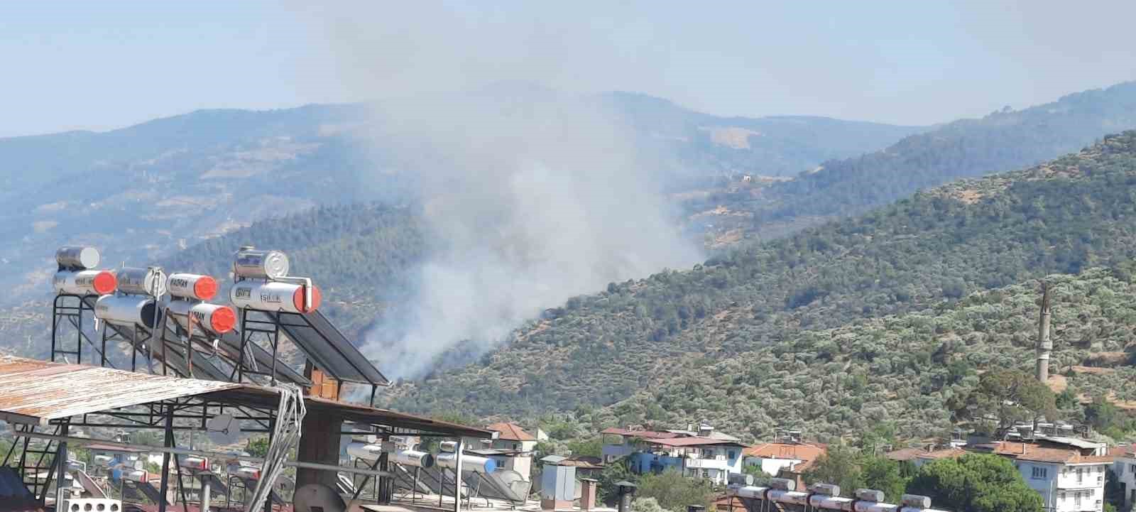 Aydın’da orman yangını 