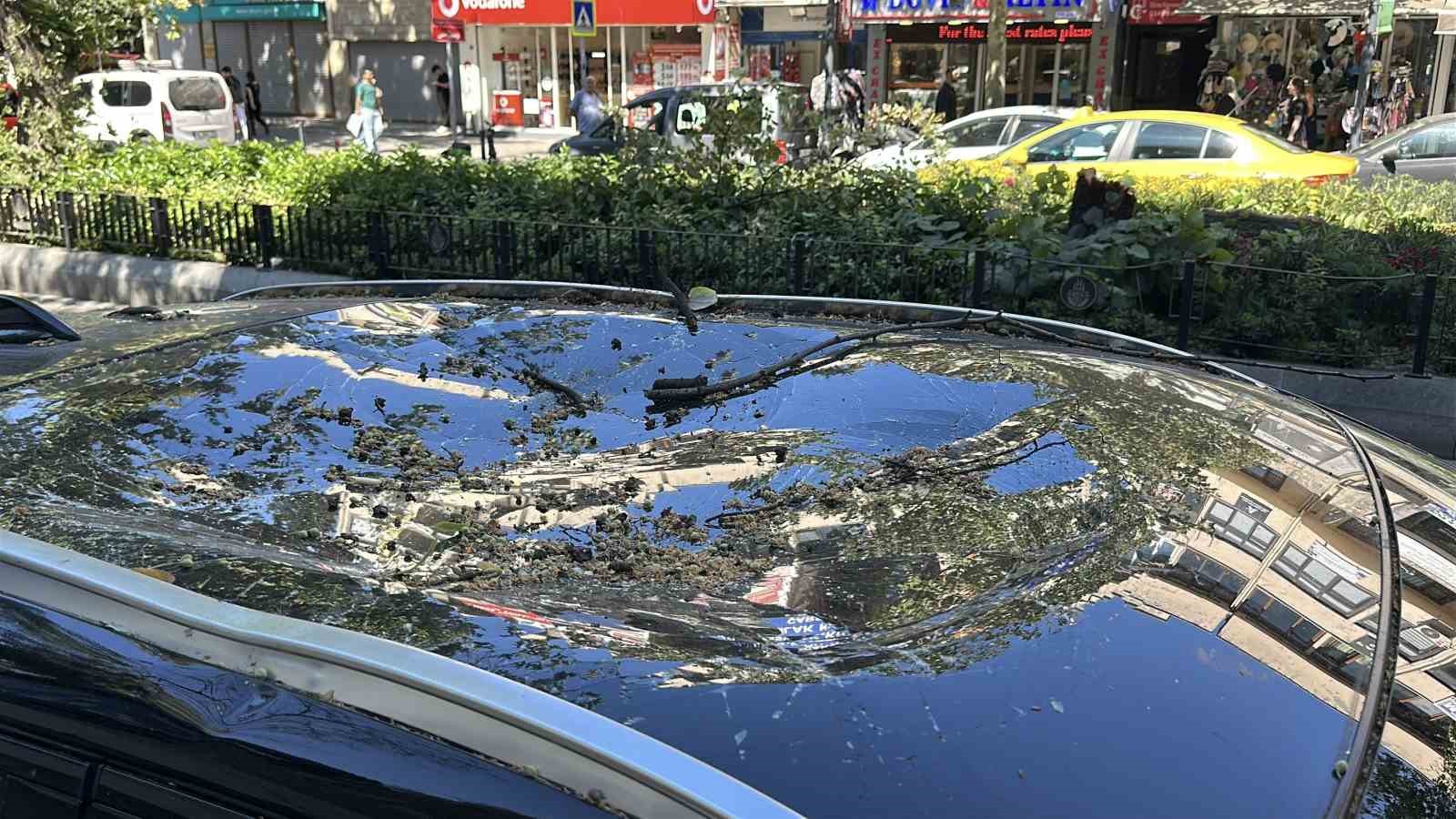 Üsküdar’da park halindeki aracın üzerine ağaç devrildi 