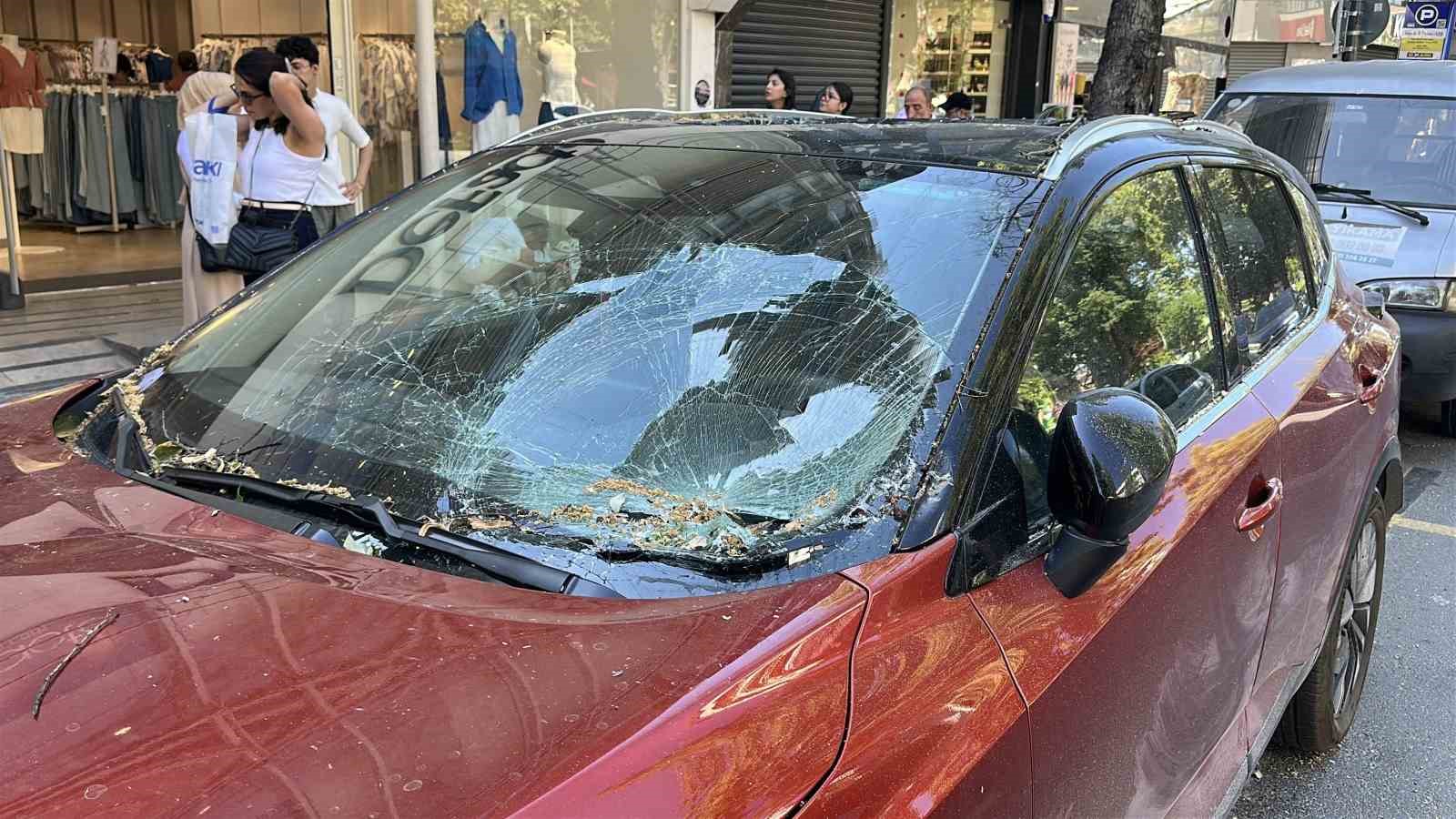 Üsküdar’da park halindeki aracın üzerine ağaç devrildi 