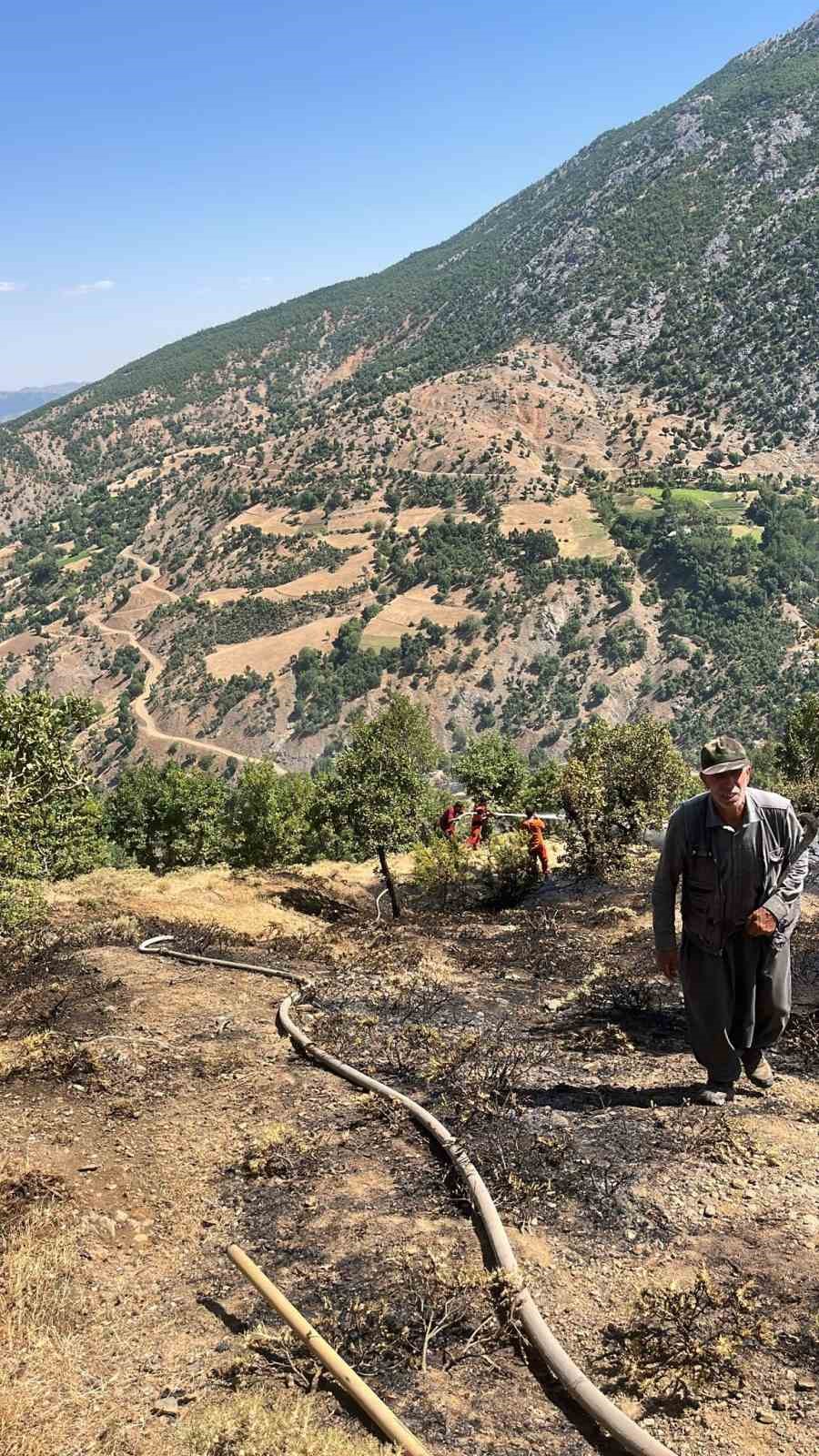 Bingöl’deki orman ve arazi yangınları söndürüldü 