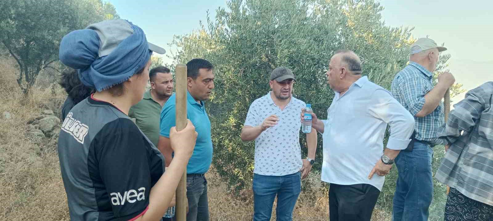 Bozdoğan orman yangınına müdahale sürüyor 