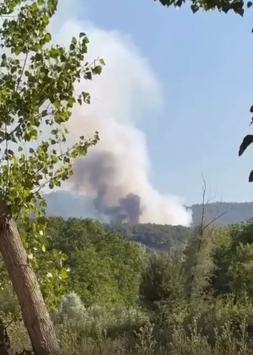 Bolu’da orman yangını 