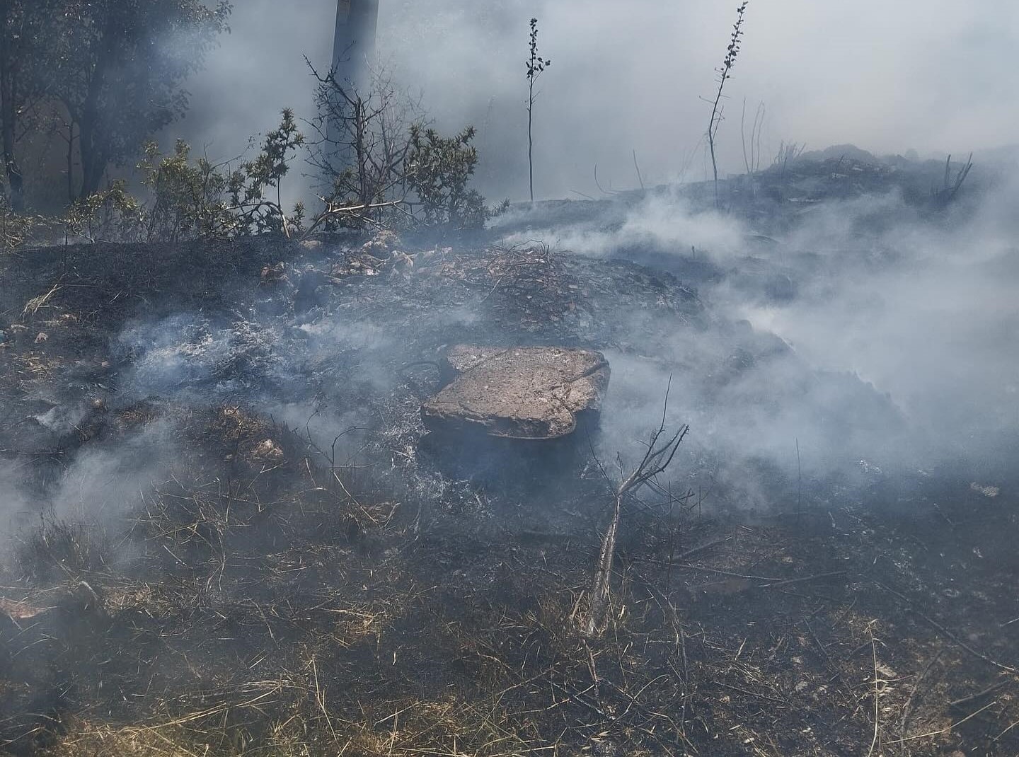 Gediz’de trafo yakınında ot yangını paniğe sebep oldu 
