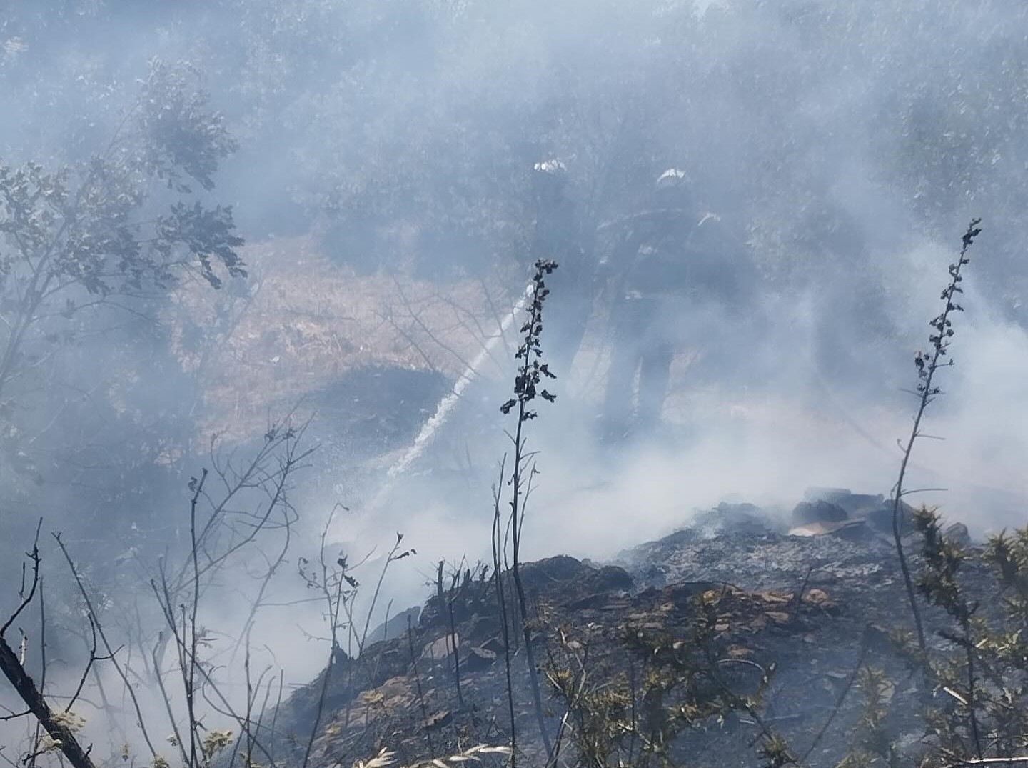 Gediz’de trafo yakınında ot yangını paniğe sebep oldu 