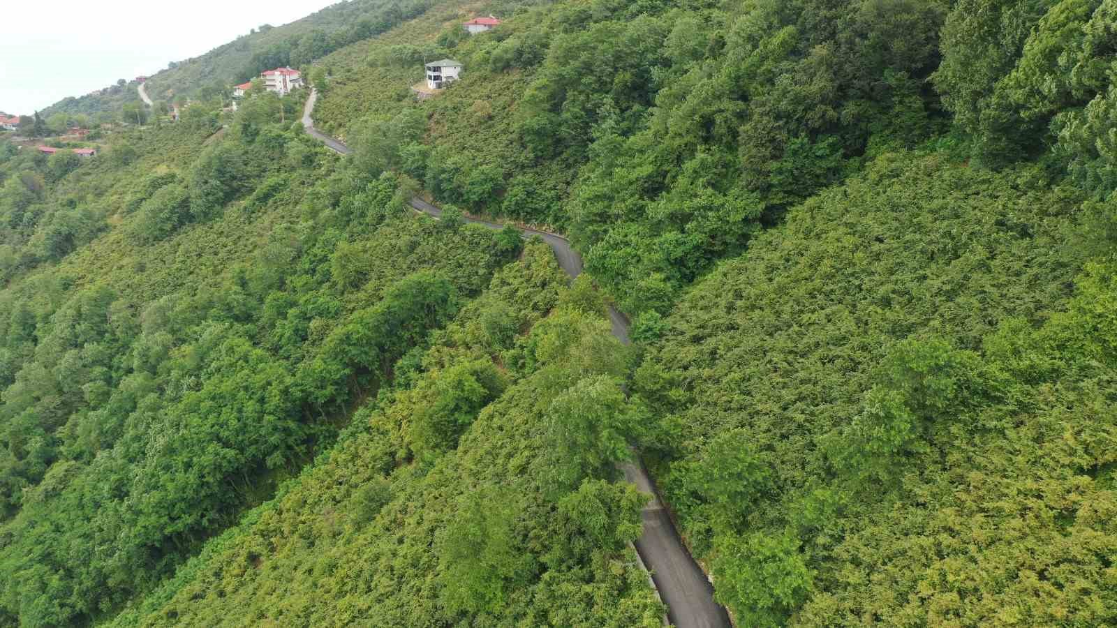 Ordu’nun seyir terasının yolunda sıcak asfalt çalışması 