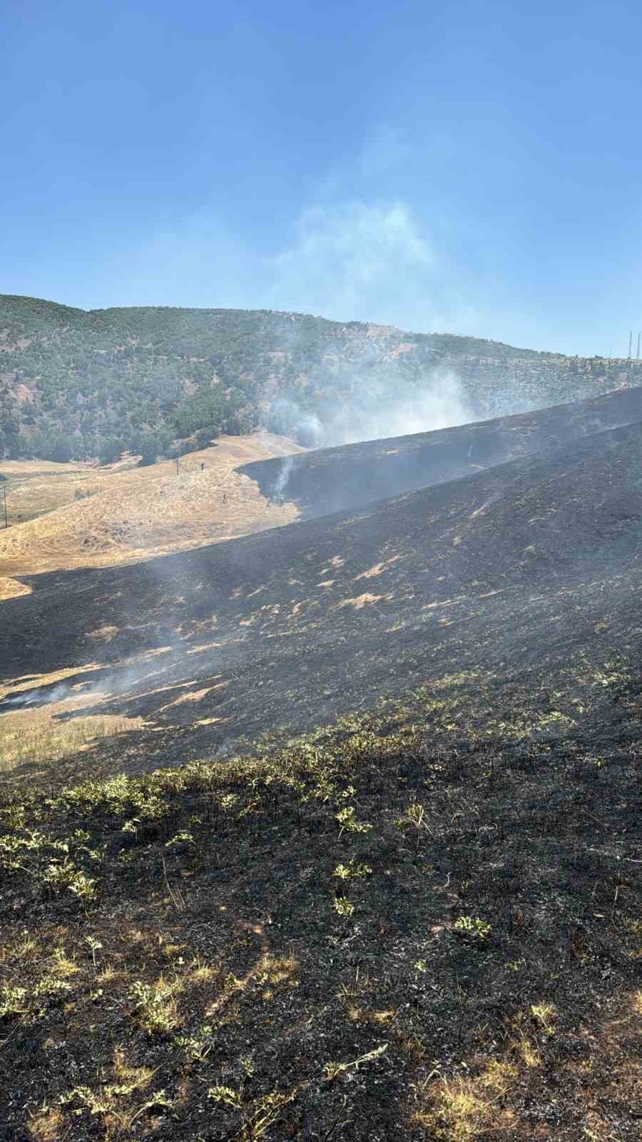 Hizan’da anız yangını, 40 dönüm arazi zarar gördü 