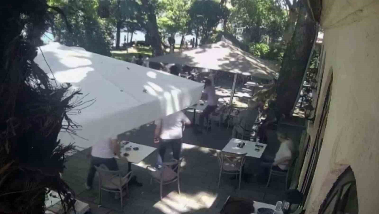 Çınardan kopan dal can aldı: O anlar kamerada 