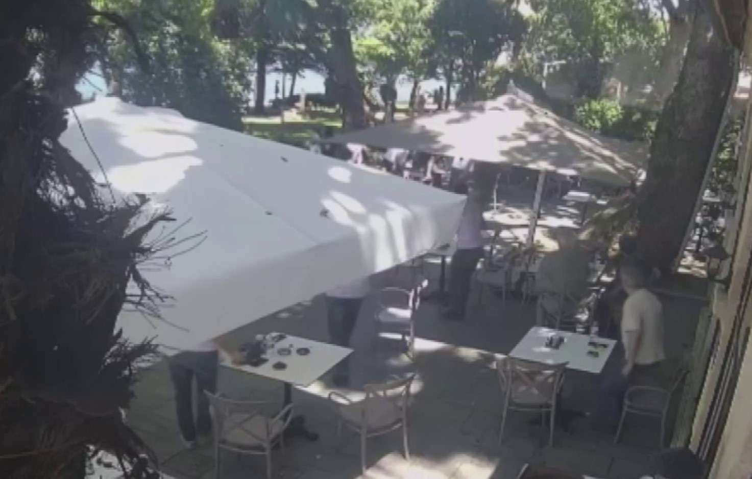 Çınardan kopan dal can aldı: O anlar kamerada 