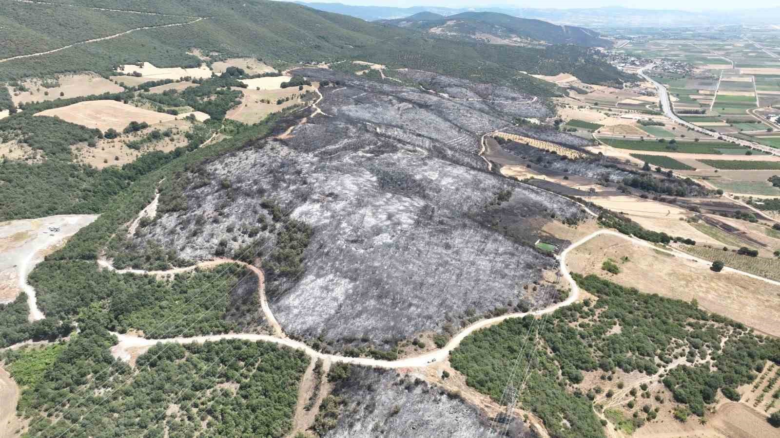 Bursa’da ormanlara giriş yasaklandı 