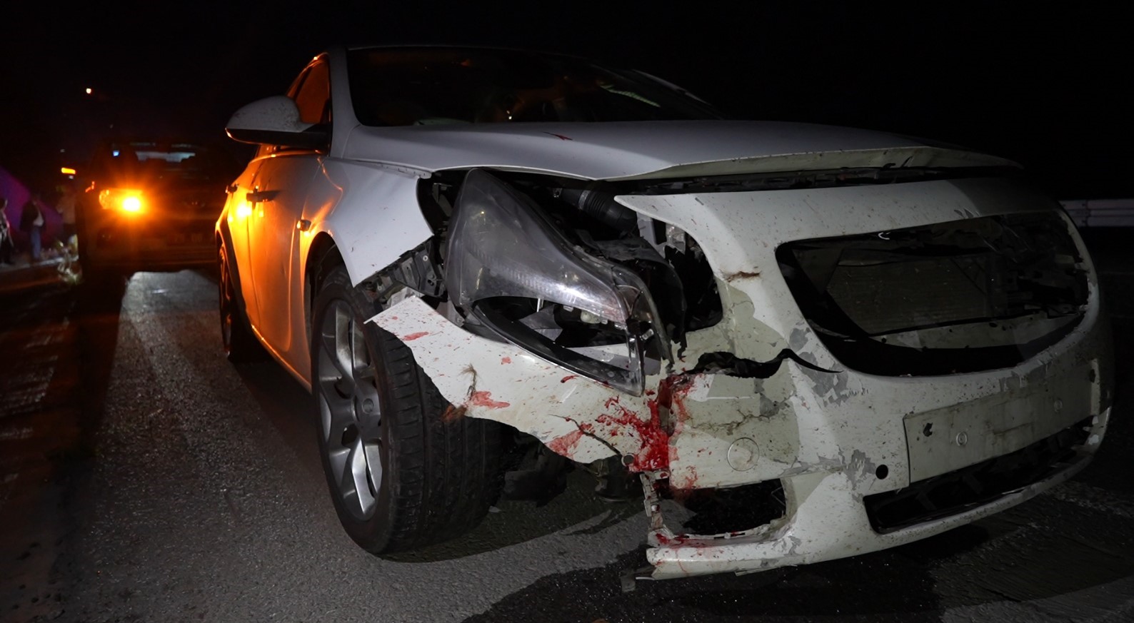 Gümüşhane’de otomobilin çarptığı ayı telef oldu 