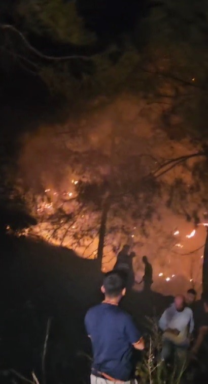 Hatay’da çıkan orman yangını kısa sürede kontrol altına alındı 