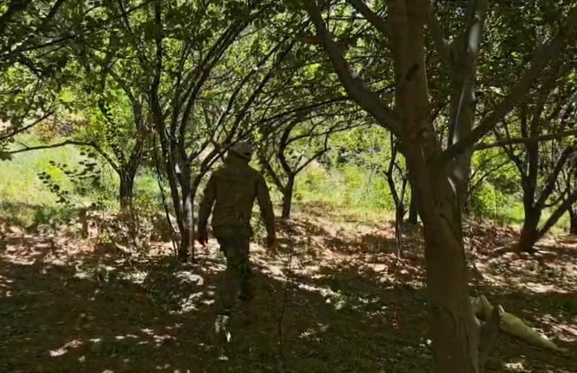 Batman’da akli dengesi yerinde olmayan kayıp kadını arama çalışmaları 3’üncü günde dron ve termal kameralarla sürüyor 
