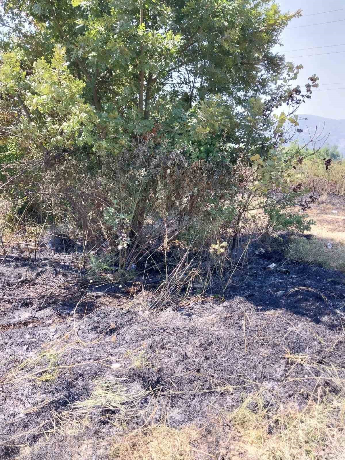 Çaycuma’da çıkan orman yangını korkuttu 