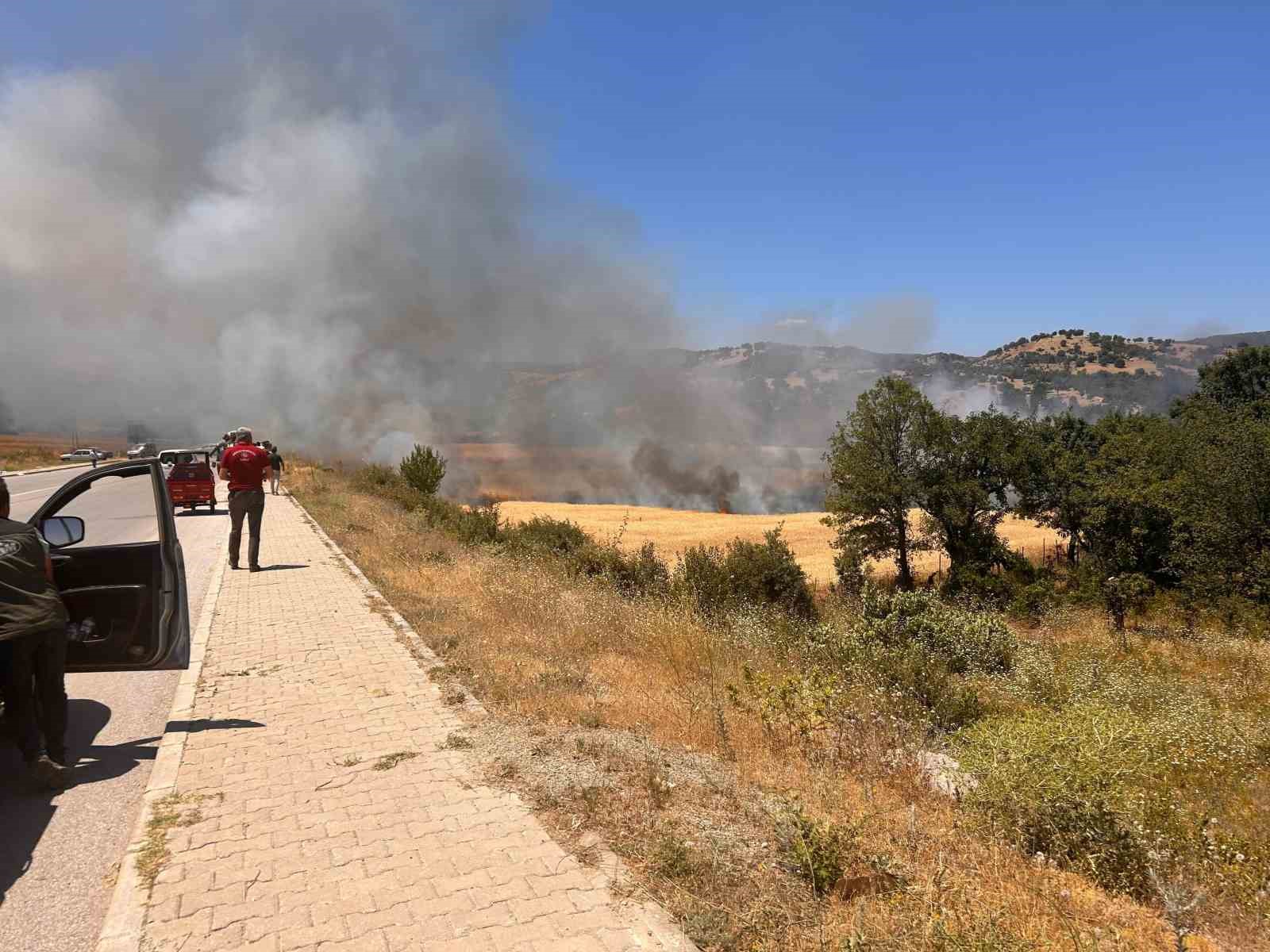 Hisarcık’ta biçerdöver kaynaklı yangında 2,5 dekar ekili alan zarar gördü 