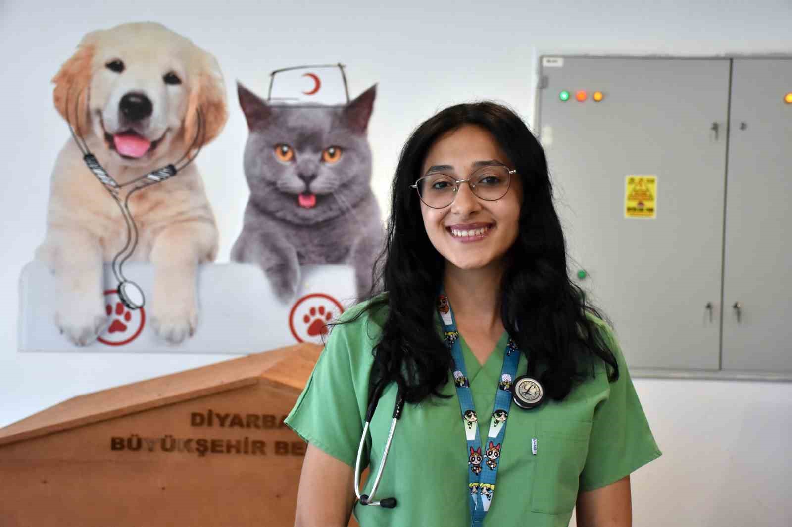 Diyarbakır’da 6 ayda 10 bin hayvan ihbarına müdahale 