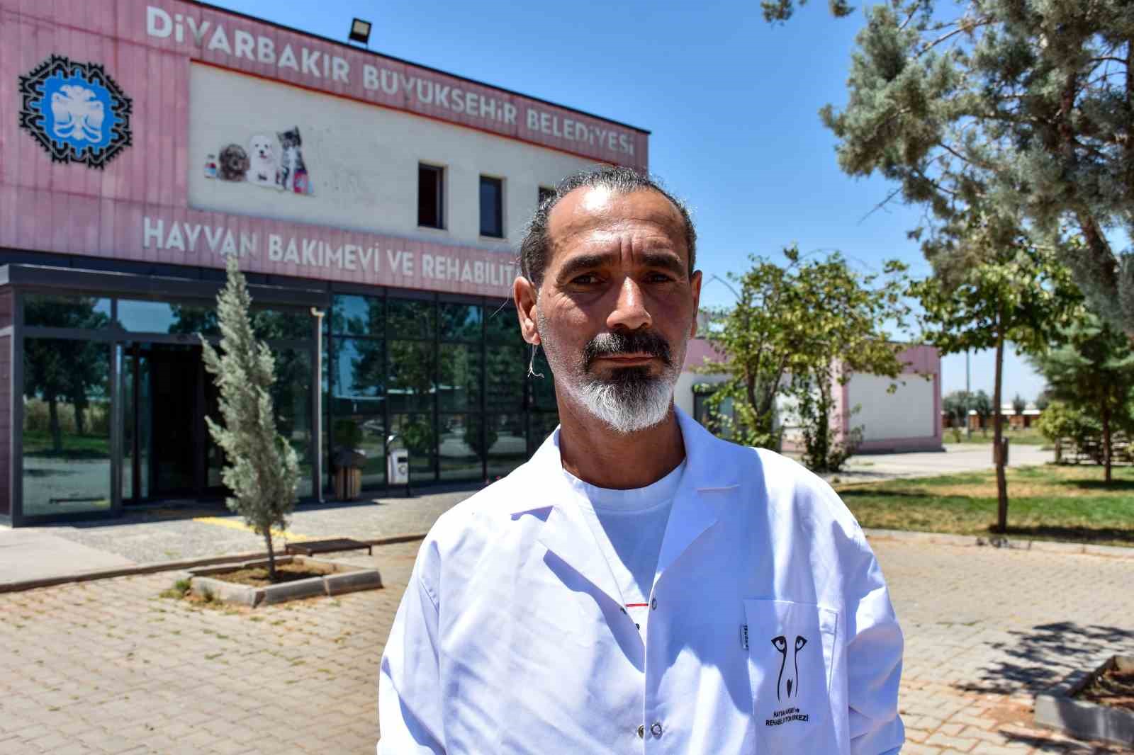 Diyarbakır’da 6 ayda 10 bin hayvan ihbarına müdahale 