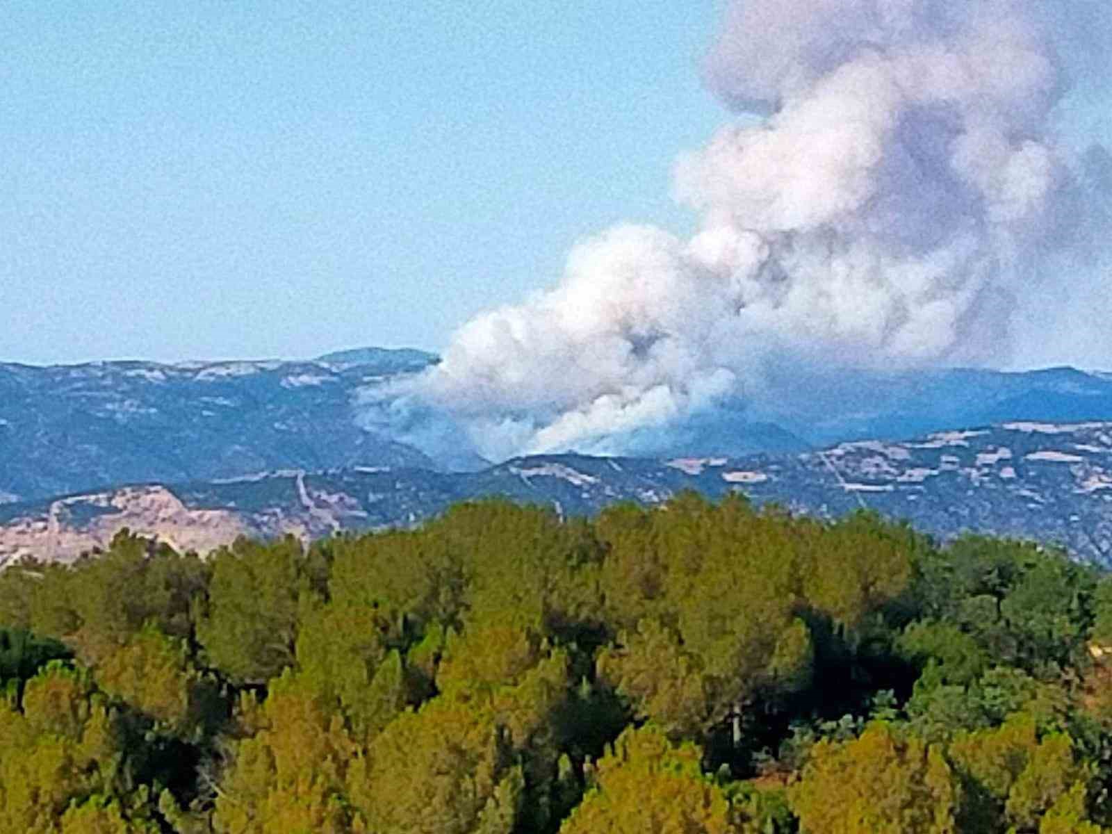 Sarıgöl’de orman yangını başladı 
